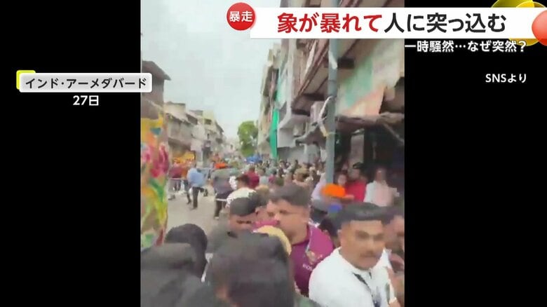 18頭の象が街の中を行進していたヒンドゥー教の祭典
