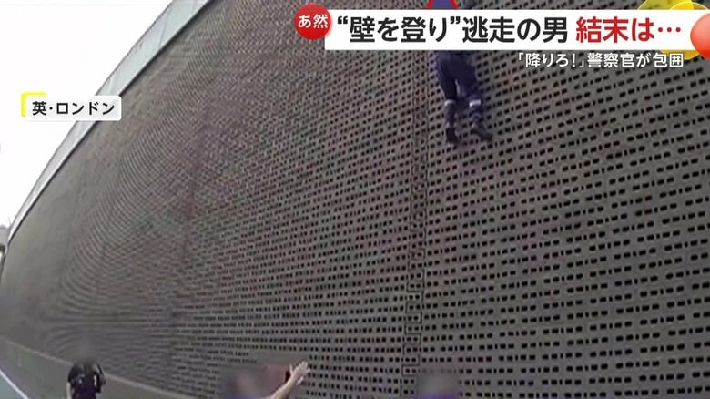 まるでスパイダーマンのように壁をのぼり始めた男