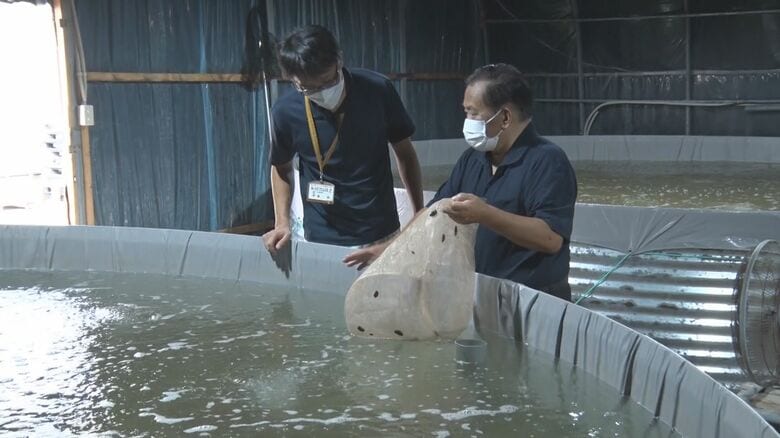 佐渡市農林水産振興課　伊藤誠 係長（左）