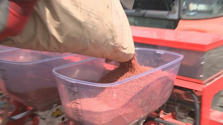 鳥害防止や病害虫予防のため種もみに薬剤をコーティング