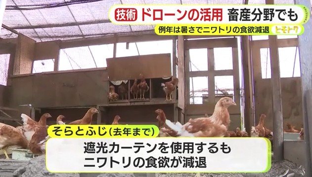 「そらとふじ」の鶏舎の様子（2025年8月）