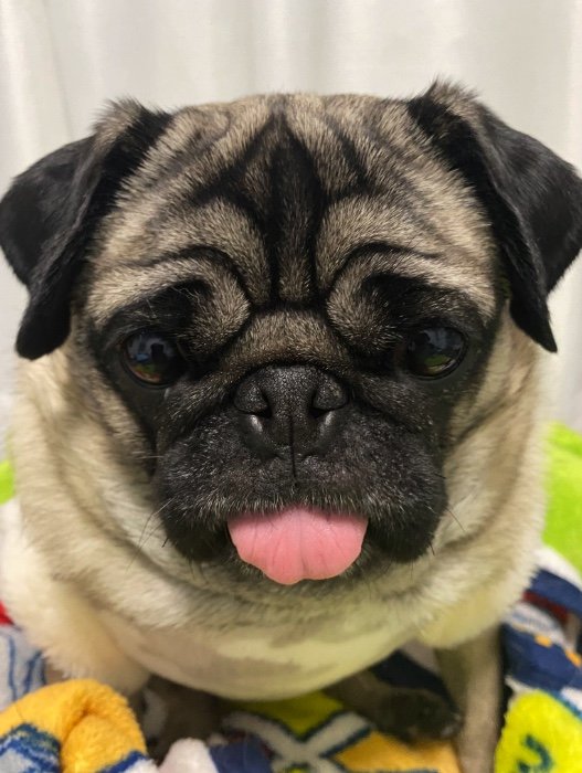 提供：ボンさん