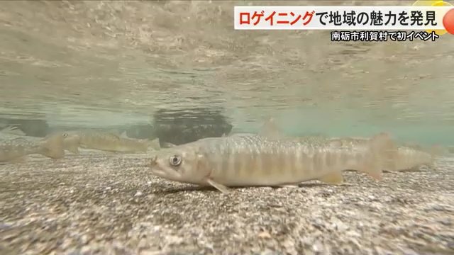 イワナの釣り堀でもポイント獲得
