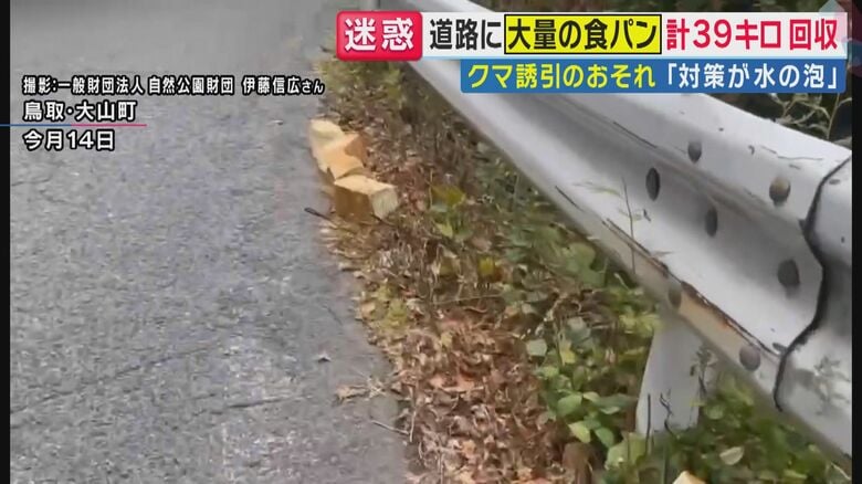 道路に捨てられた食パン