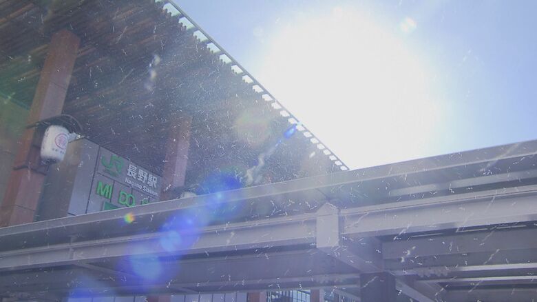 虫が飛び交う（長野駅前　11月7日）