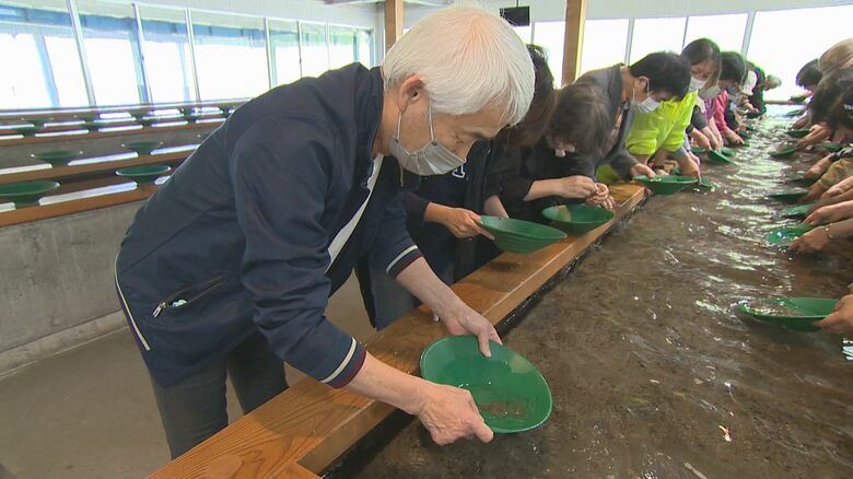 兵庫県からの観光客