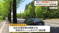 泉区で道路横断するクマ１頭目撃　付近では目撃情報相次ぐ「同一個体の可能性も」＜仙台＞
