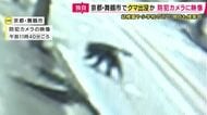 【独自】京都・舞鶴市の市街地に「クマ」　道路を走って渡る様子とらえた映像を入手　周囲には幼稚園や小学校も　屋内退避や集団下校など対応も　近畿でクマの目撃情報相次ぐ中　住民「市街地に出るのは初めて」