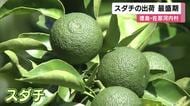 「実もずいぶんと水分が入りだしまして香りも非常に良い」スダチ収穫最盛期　徳島・佐那河内村