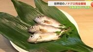 世界初「白身のトロ」ノドグロ完全養殖に成功も“97％がオス”になる謎…【動画で見る】