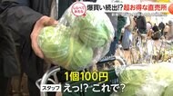 店舗の半額以下も！超お得な直売所【しらべてみたら】