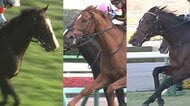 【日本ダービー】3歳馬7522頭の頂点に立つのは？1番人気馬が未勝利の2022年GⅠ難解レースを元騎手・細江純子さんが予想！