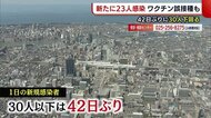 〈新型コロナ〉新潟県 新規感染者42日ぶりに30人下回る 上越市ではワクチンの誤接種判明