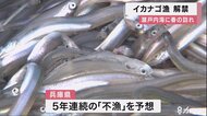 今年も不漁か 春の風物詩 イカナゴ漁が解禁
