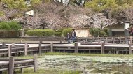 公園の再整備で存続危機の「トンボ池」 生き物の将来に繋がる場所の運命は?