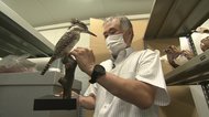 全国から支援を受けて修復した文化財 震災から9年半…人々の思いと記憶を未来へ【岩手発】