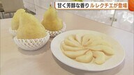甘く芳醇な“ルレクチエ”登場！ギフトや自分へのご褒美求め多くの人「ほかにはない新潟の名産」「甘さが違う」