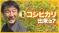 “水不足”でひび割れ・葉の変色も…「一等米はクリアできるのでは」新米コシヒカリの出来に期待！被害乗り越え無事稲刈り