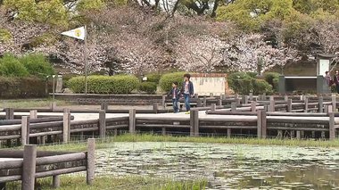 公園の再整備で存続危機の「トンボ池」 生き物の将来に繋がる場所の運命は?