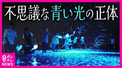 夜の海を彩る『青い光』　自然が作る不思議な魅力　大人も「子どものようにはしゃいで楽しい」　兵庫・淡路島