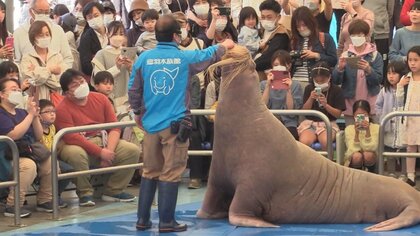 鳥羽水族館にも物価高騰の影響 値上げや節約に取り組み「春休み」に期待【三重発】