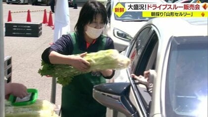 大好評！　朝採り・新鮮“山形セルリー”のドライブスルー販売会に行列【山形発】