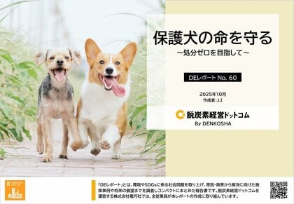 保護犬の命をつなぐ社会へ。犬と人の未来に向けた実態をレポート
