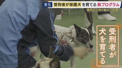 受刑者による「保護犬育成プログラム」で再犯防止に繋げる狙い「自分と重なる部分がある」　一筋縄ではいかない更生も…互いに変化