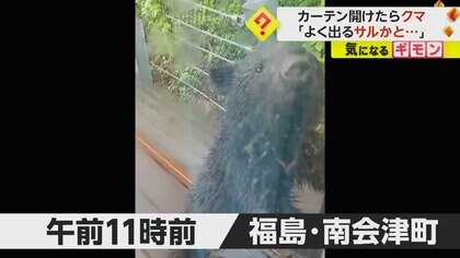 【カーテン開けたらクマ】わずか数十cm…窓に爪を押し当て中をのぞき込む　「目が合っても逃げない」　福島・南会津