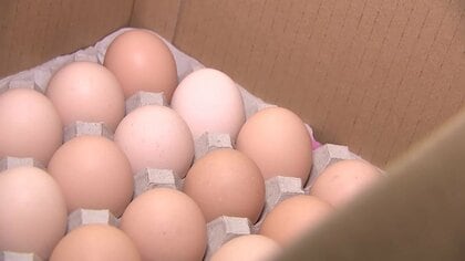 “エッグショック”再来か　卵価格高騰でクリスマス目前の洋菓子店を直撃　鳥インフルや猛暑の影響　岩手県