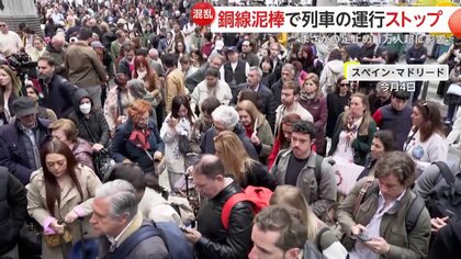 【混乱】「他の国ならわかるけど」銅線の通信ケーブル5カ所で盗まれ列車が運行停止　1万人以上がまさかの足止め「何の説明もない」