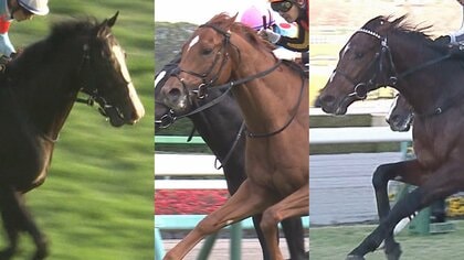 【日本ダービー】3歳馬7522頭の頂点に立つのは？1番人気馬が未勝利の2022年GⅠ難解レースを元騎手・細江純子さんが予想！