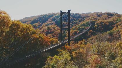 七夕伝説ゆかりの地“星のブランコ”　色鮮やかな紅葉とともに　今は亡き妻を思って訪れた男性も【大阪発】