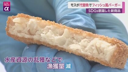 モス“代替魚”でフィッシュ風バーガー発売 “SDGs意識”した