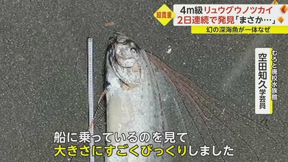 ディギ　リュウグウノツカイ bk4861488753.jpg