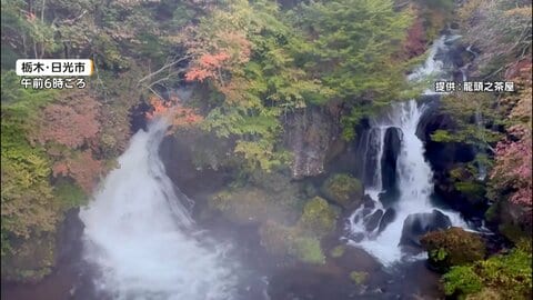 千葉でカピバラの子供4頭のうち3頭死亡　原因は「雨とか土砂崩れでストレス」か　秋の3連休も観光地で“異変”