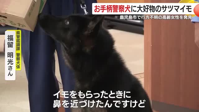 サツマイモだ!