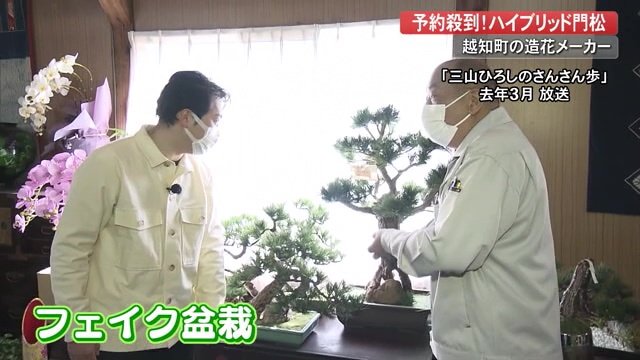 「岩や」の盆栽には三山ひろしさんも驚き