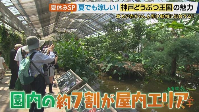 夏でも快適