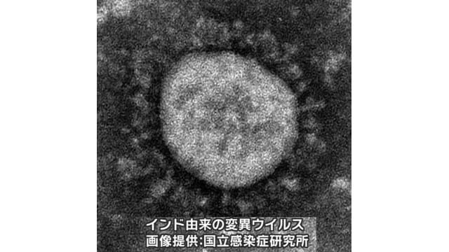 感染拡大が懸念される「デルタ株」