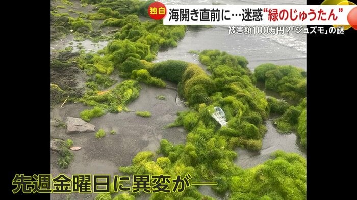 最初に異変が起きたのは11日