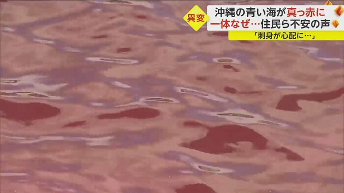 真っ赤に濁った海 一体何が起きたのか……