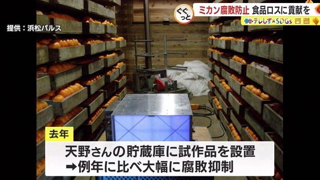 天野さん「(腐敗が)15%から3~5%に減少」