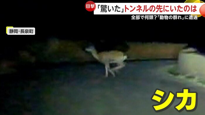 突然飛び出してきたシカ（視聴者撮影）
