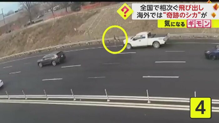 5台目の白い車の前を横切り