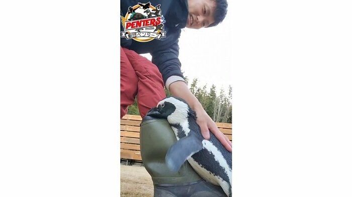 イマイケルさんの足にくっついているように見えるガンくん