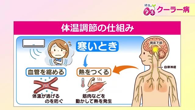 寒いときは血管を縮め熱が逃げるのを防ぐ