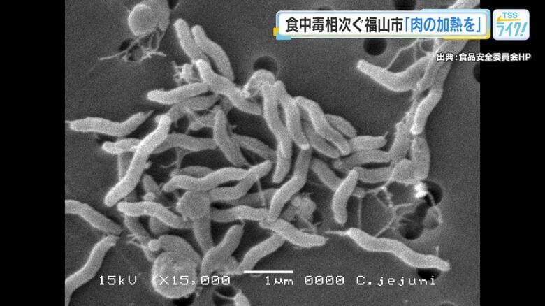 食中毒相次ぐ福山市　保健所職員ら予防を呼び掛け　肉の十分な加熱、調理器具をしっかり洗浄など　広島｜FNNプライムオンライン
