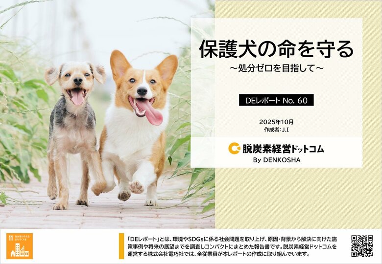 保護犬の命をつなぐ社会へ。犬と人の未来に向けた実態をレポート