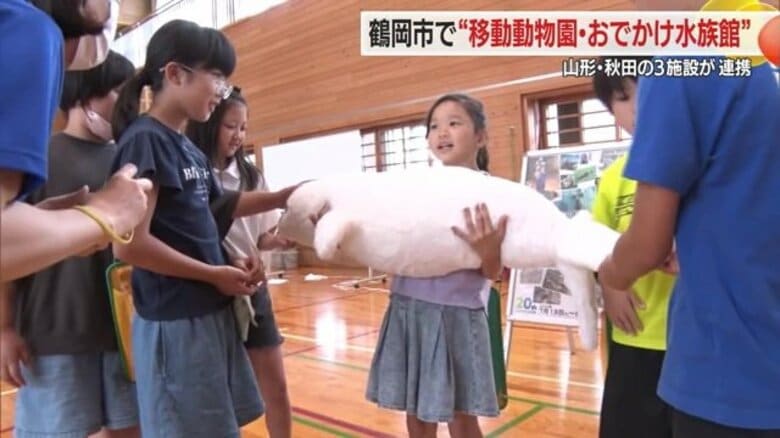 山形と秋田の水族館・動物園の生き物が小学校体育館に！　自分と体重あまり変わらない？実際の重さの人形も【山形発】｜FNNプライムオンライン